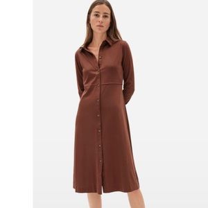 Everlane- The Luxe Cotton Shirtdress with Tag